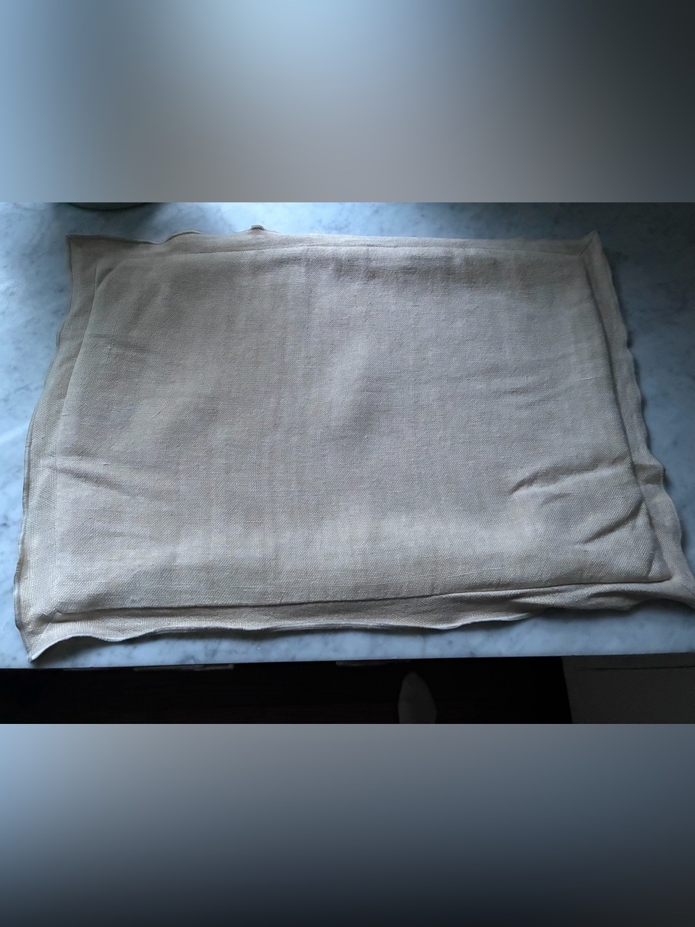 Pottery Barn Linen Pillow Cover